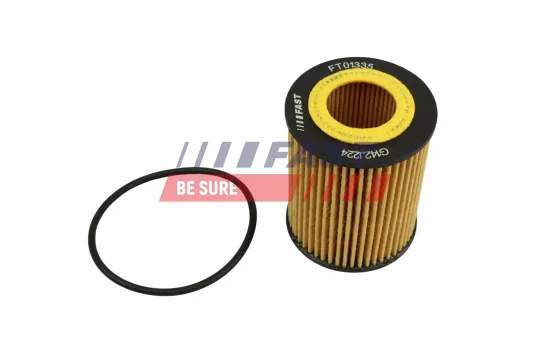 Ölfilter FAST FT01335 Bild Ölfilter FAST FT01335