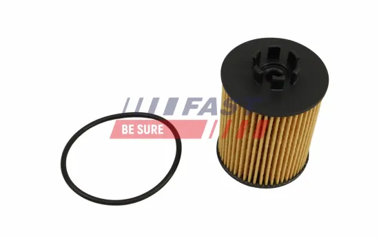 Ölfilter FAST FT01335 Bild Ölfilter FAST FT01335