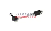 Stange/Strebe, Stabilisator Hinterachse links FAST FT01675