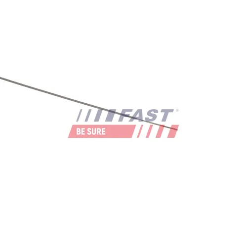 Ölpeilstab FAST FT01744 Bild Ölpeilstab FAST FT01744