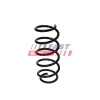 Fahrwerksfeder Vorderachse FAST FT01900 Bild Fahrwerksfeder Vorderachse FAST FT01900