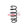 Fahrwerksfeder Vorderachse FAST FT01900 Bild Fahrwerksfeder Vorderachse FAST FT01900