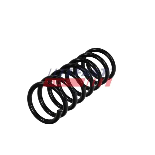 Fahrwerksfeder Hinterachse FAST FT01906 Bild Fahrwerksfeder Hinterachse FAST FT01906