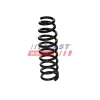 Fahrwerksfeder Vorderachse FAST FT01907 Bild Fahrwerksfeder Vorderachse FAST FT01907