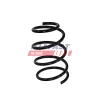 Fahrwerksfeder Vorderachse FAST FT01911 Bild Fahrwerksfeder Vorderachse FAST FT01911