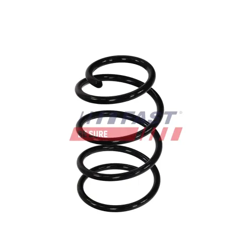 Fahrwerksfeder Vorderachse FAST FT01911 Bild Fahrwerksfeder Vorderachse FAST FT01911