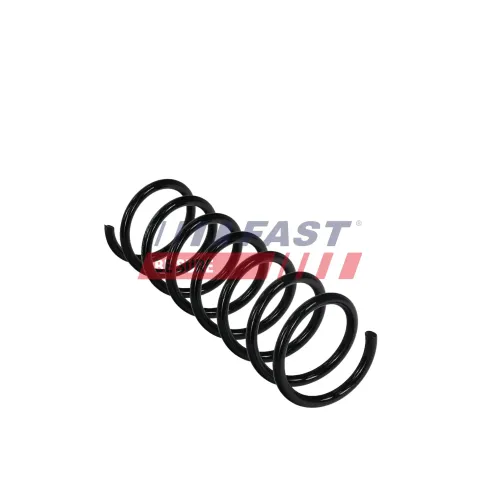 Fahrwerksfeder Hinterachse FAST FT01916 Bild Fahrwerksfeder Hinterachse FAST FT01916