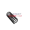 Fahrwerksfeder Hinterachse FAST FT01918 Bild Fahrwerksfeder Hinterachse FAST FT01918