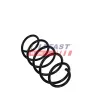 Fahrwerksfeder Vorderachse FAST FT01923 Bild Fahrwerksfeder Vorderachse FAST FT01923