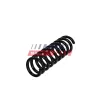 Fahrwerksfeder Hinterachse FAST FT01925 Bild Fahrwerksfeder Hinterachse FAST FT01925