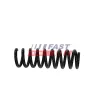 Fahrwerksfeder Hinterachse FAST FT01925 Bild Fahrwerksfeder Hinterachse FAST FT01925