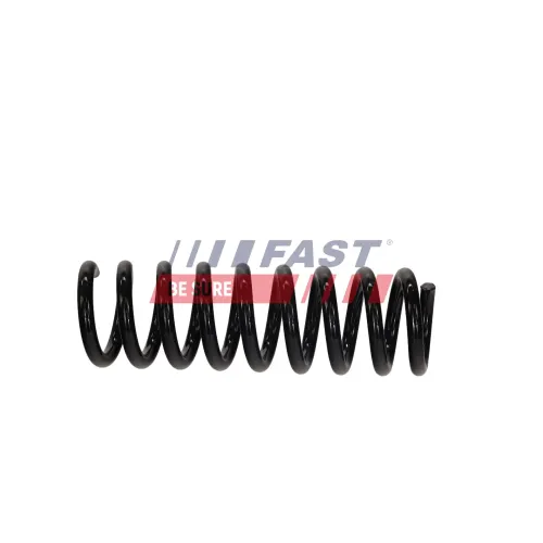 Fahrwerksfeder Hinterachse FAST FT01925 Bild Fahrwerksfeder Hinterachse FAST FT01925