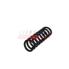Fahrwerksfeder Hinterachse FAST FT01927 Bild Fahrwerksfeder Hinterachse FAST FT01927