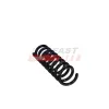Fahrwerksfeder Hinterachse FAST FT01927 Bild Fahrwerksfeder Hinterachse FAST FT01927