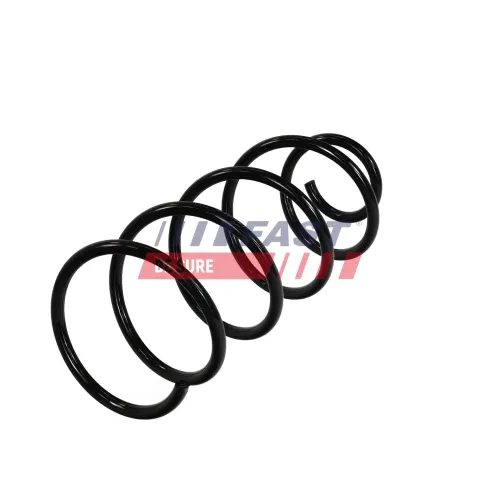 Fahrwerksfeder Vorderachse FAST FT01955 Bild Fahrwerksfeder Vorderachse FAST FT01955