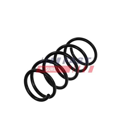 Fahrwerksfeder Vorderachse FAST FT01958 Bild Fahrwerksfeder Vorderachse FAST FT01958