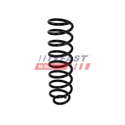 Fahrwerksfeder Hinterachse FAST FT01969 Bild Fahrwerksfeder Hinterachse FAST FT01969