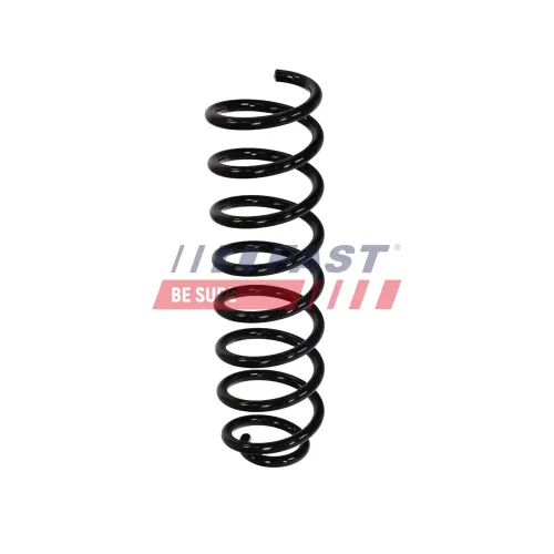 Fahrwerksfeder Hinterachse FAST FT01969 Bild Fahrwerksfeder Hinterachse FAST FT01969