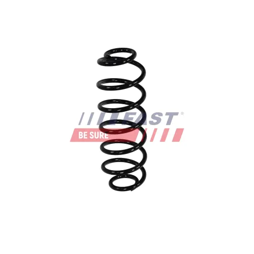 Fahrwerksfeder Hinterachse FAST FT01981 Bild Fahrwerksfeder Hinterachse FAST FT01981