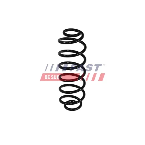 Fahrwerksfeder Hinterachse FAST FT01981 Bild Fahrwerksfeder Hinterachse FAST FT01981