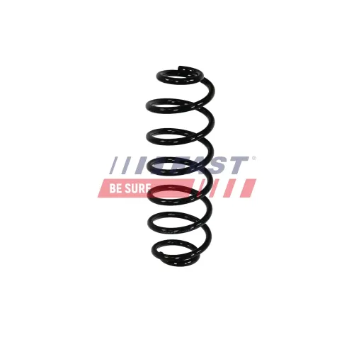 Fahrwerksfeder Hinterachse FAST FT01981 Bild Fahrwerksfeder Hinterachse FAST FT01981