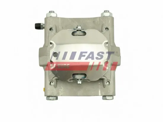 Bremssattel Hinterachse links Hinterachse rechts FAST FT02005 Bild Bremssattel Hinterachse links Hinterachse rechts FAST FT02005