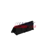 Heckklappengriff Fahrzeugheckklappe FAST FT02251 Bild Heckklappengriff Fahrzeugheckklappe FAST FT02251
