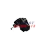 Türschloss hinten links FAST FT02301 Bild Türschloss hinten links FAST FT02301