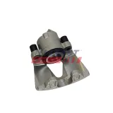 Bremssattel Vorderachse rechts FAST FT03185