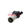 Zusatzwasserpumpe (Kühlwasserkreislauf) FAST FT03502 Bild Zusatzwasserpumpe (Kühlwasserkreislauf) FAST FT03502
