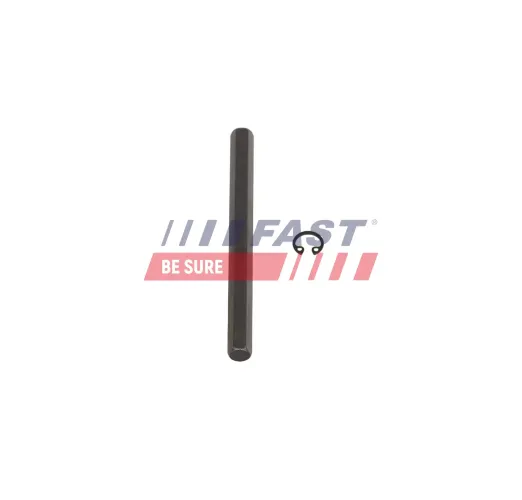 Ölpumpe FAST FT04168 Bild Ölpumpe FAST FT04168