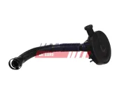 Ventil, Kurbelgehäuseentlüftung FAST FT04335