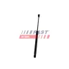 Gasfeder, Koffer-/Laderaum FAST FT04408 Bild Gasfeder, Koffer-/Laderaum FAST FT04408