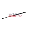 Gasfeder, Heckscheibe FAST FT04410