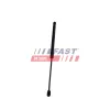 Gasfeder, Koffer-/Laderaum FAST FT04411 Bild Gasfeder, Koffer-/Laderaum FAST FT04411