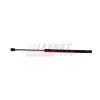 Gasfeder, Koffer-/Laderaum FAST FT04414 Bild Gasfeder, Koffer-/Laderaum FAST FT04414