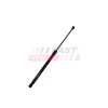 Gasfeder, Koffer-/Laderaum FAST FT04416 Bild Gasfeder, Koffer-/Laderaum FAST FT04416