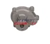 Wasserpumpe, Motorkühlung FAST FT04438 Bild Wasserpumpe, Motorkühlung FAST FT04438