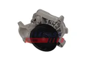 Wasserpumpe, Motorkühlung FAST FT04440