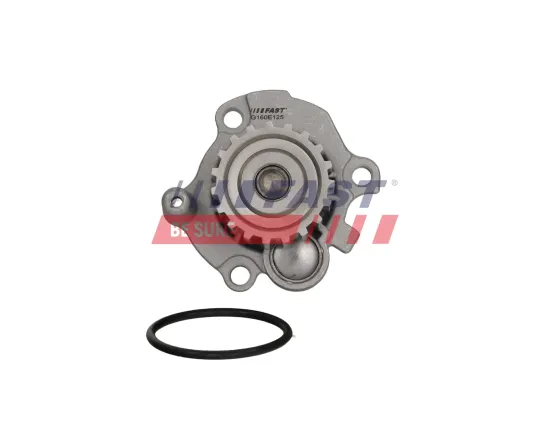 Wasserpumpe, Motorkühlung FAST FT04446 Bild Wasserpumpe, Motorkühlung FAST FT04446