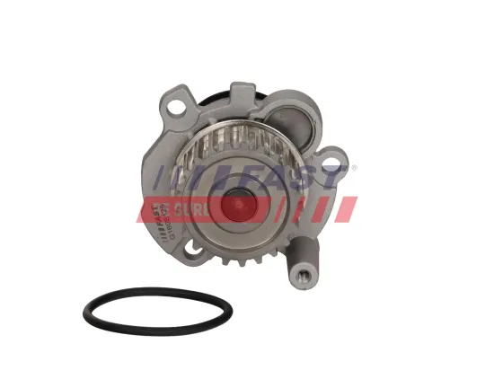 Wasserpumpe, Motorkühlung FAST FT04449 Bild Wasserpumpe, Motorkühlung FAST FT04449