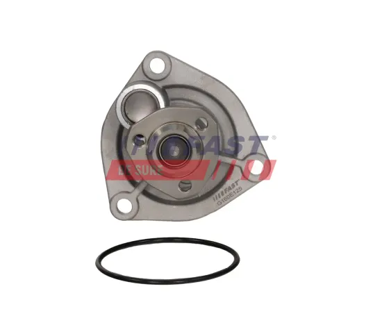 Wasserpumpe, Motorkühlung FAST FT04451 Bild Wasserpumpe, Motorkühlung FAST FT04451