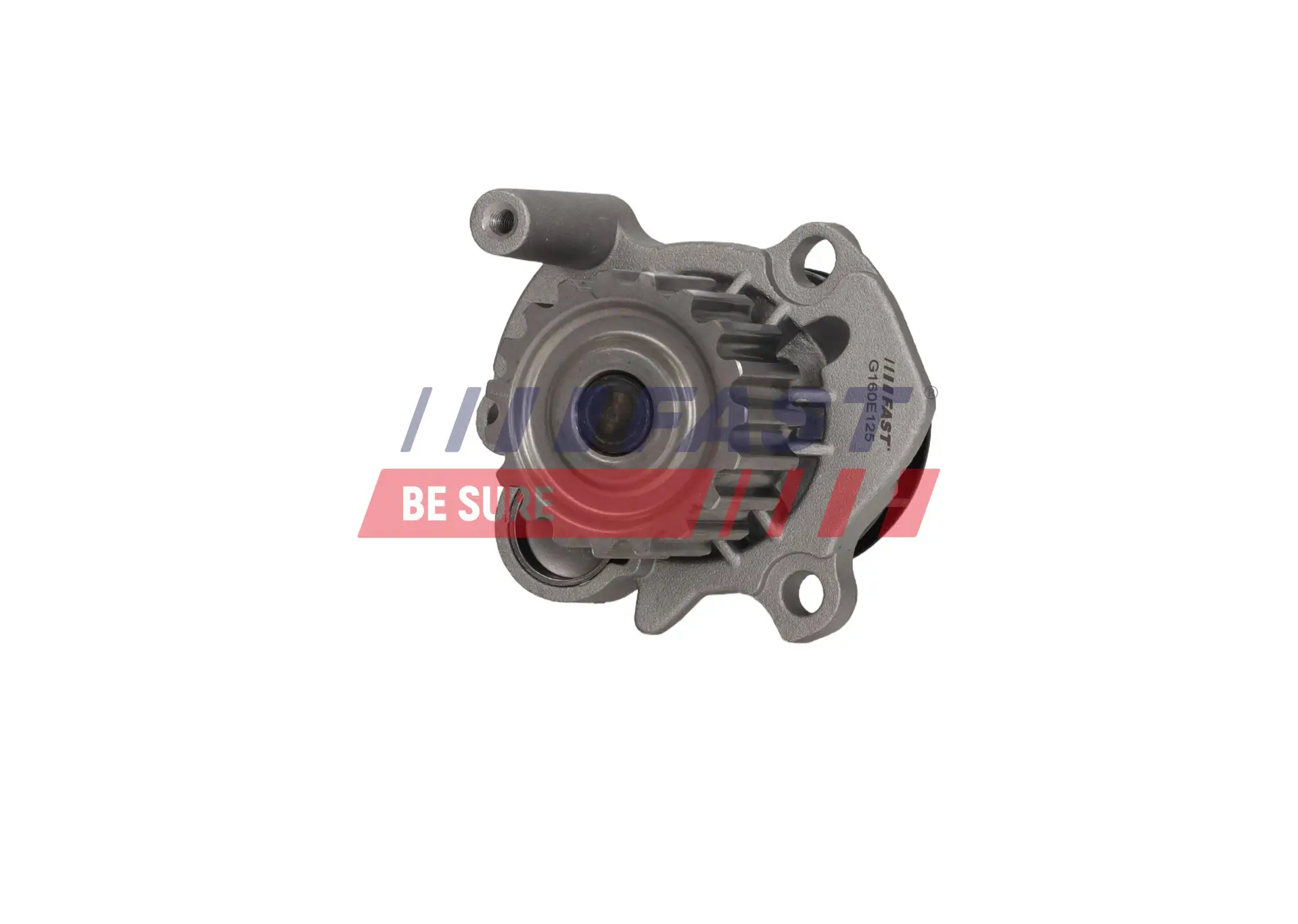 Wasserpumpe, Motorkühlung FAST FT04462