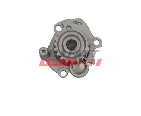 Wasserpumpe, Motorkühlung FAST FT04463 Bild Wasserpumpe, Motorkühlung FAST FT04463