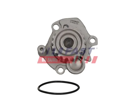 Wasserpumpe, Motorkühlung FAST FT04463 Bild Wasserpumpe, Motorkühlung FAST FT04463