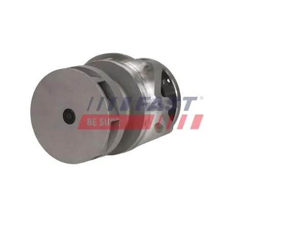 Wasserpumpe, Motorkühlung FAST FT04465 Bild Wasserpumpe, Motorkühlung FAST FT04465