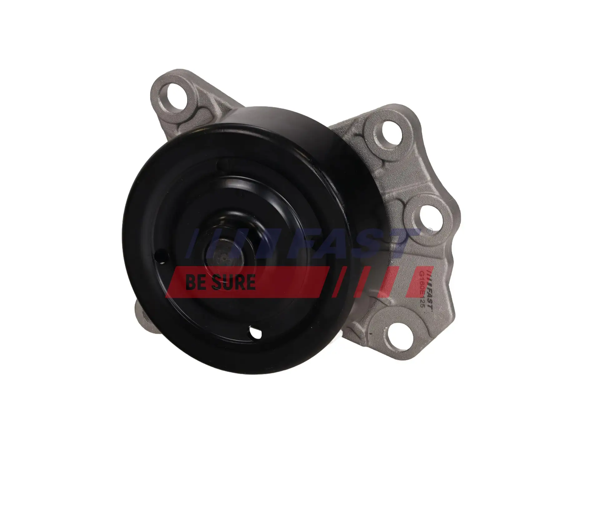 Wasserpumpe, Motorkühlung FAST FT04468