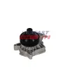 Wasserpumpe, Motorkühlung FAST FT04475 Bild Wasserpumpe, Motorkühlung FAST FT04475