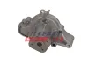 Wasserpumpe, Motorkühlung FAST FT04480 Bild Wasserpumpe, Motorkühlung FAST FT04480