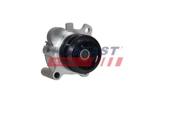 Wasserpumpe, Motorkühlung FAST FT04483 Bild Wasserpumpe, Motorkühlung FAST FT04483